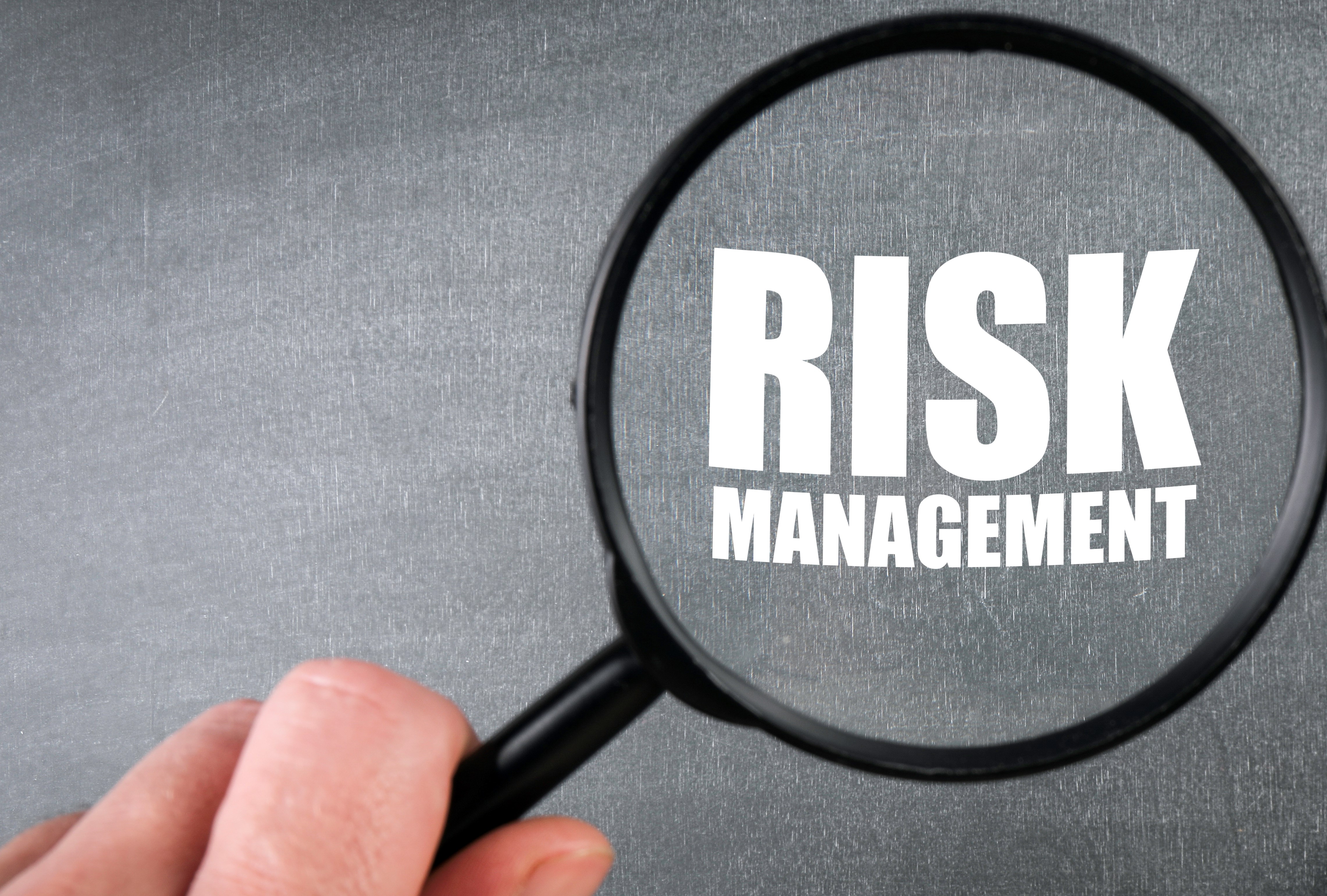 image showing the words "risk management" under a microscope